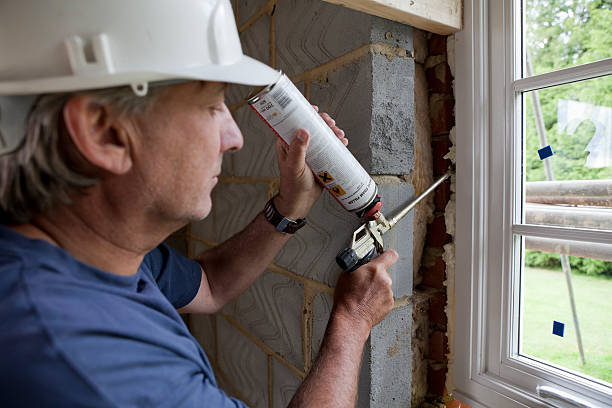 Best Residential Insulation Services  in USA